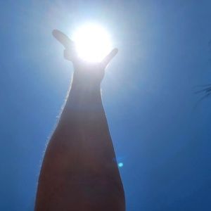 Meet your Posher, Tabitha